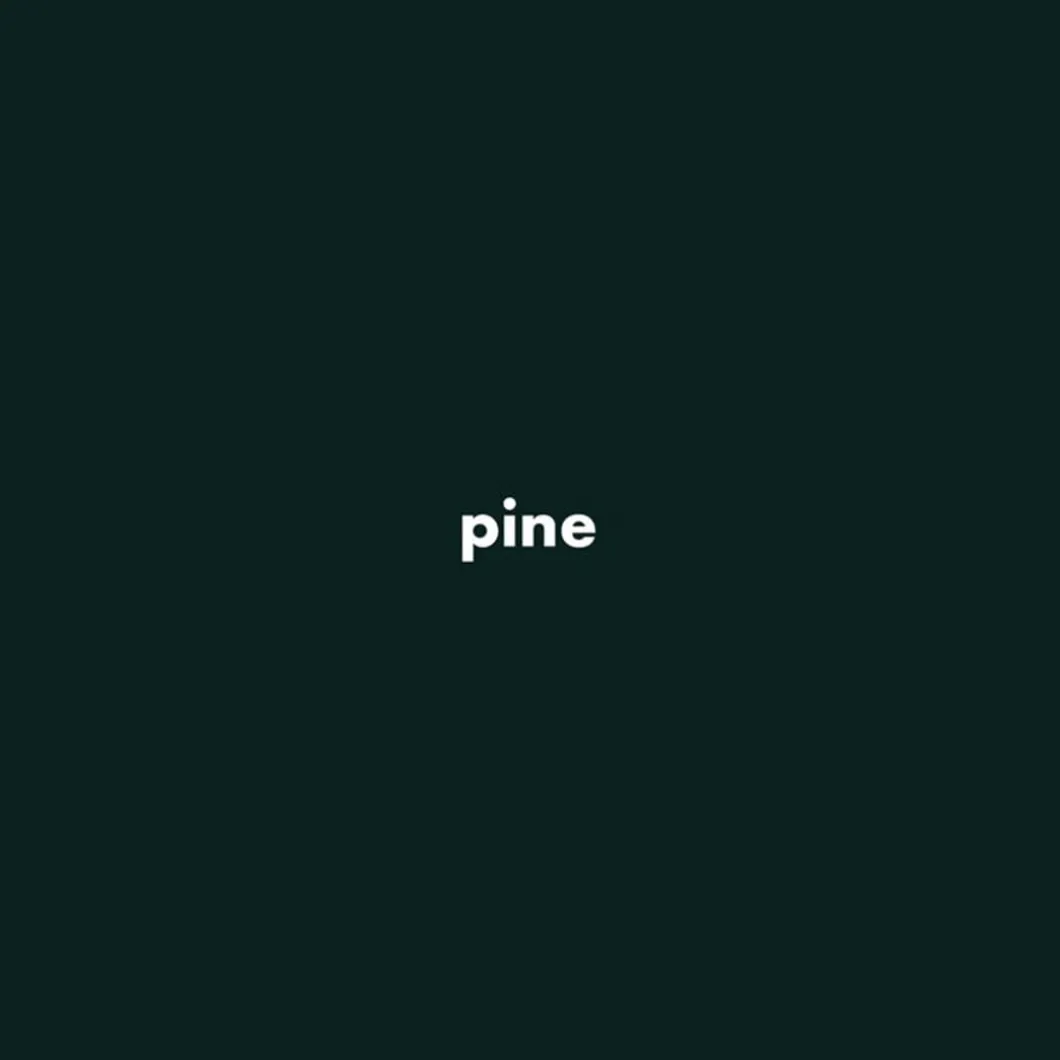 Piino Astro Earrings>Woman Jewellery & Watches