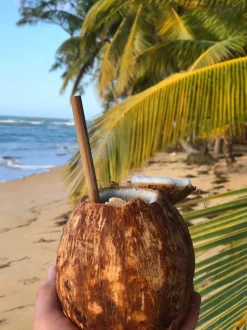 Lund London Bamboo Straws>Man Home Accessories