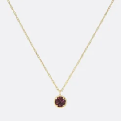 Hey Harper February Birthstone Necklace>Woman Jewellery & Watches