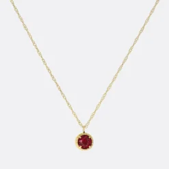 Hey Harper January Birthstone Necklace>Woman Jewellery & Watches