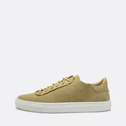 Hypnotic Yellow Phoenician Low-Top Sneakers>Man Sneakers